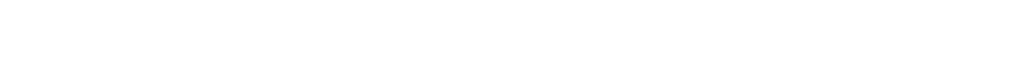 Richard Seidl Software Expert